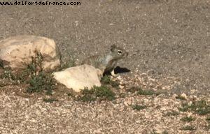 Rive Sud - Grand Canyon Village