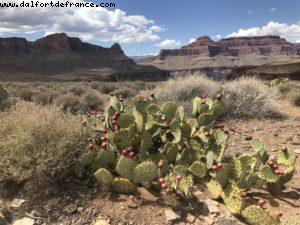 Randonnée sur la piste 'Bright Angel Trail' - Rive Sud - Grand Canyon Village