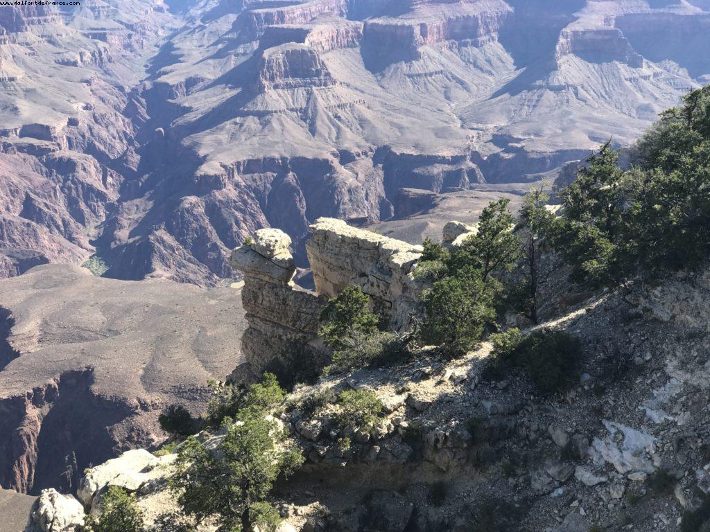 Balade sur la rive Sud (Ouest) - Rive Sud - Grand Canyon Village