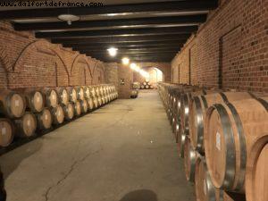 Wine Tasting - Rocche Dei Manzoni - Valentina - Monforte d'Alba