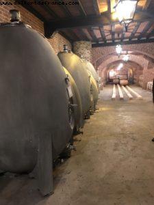 Wine Tasting - Rocche Dei Manzoni - Valentina - Monforte d'Alba