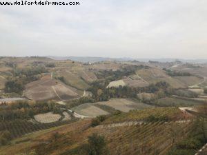 Wine Tasting - Vietti - Castiglione Falletto