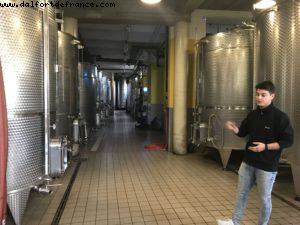 Wine Tasting - Vietti - Castiglione Falletto