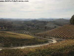 Wine Tasting - Ceretto - Alba