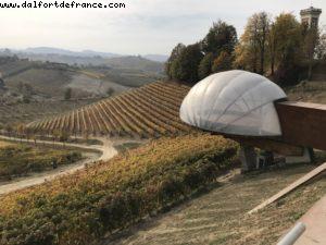 Wine Tasting - Ceretto - Alba