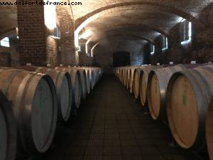 Wine Tasting - Ceretto - Alba