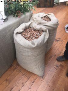 Truffles Fair - Alba