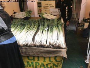 Truffles Fair - Alba