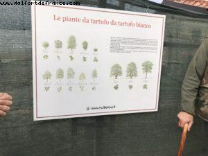 Truffles Hunting with Marco and Roki- La Morra