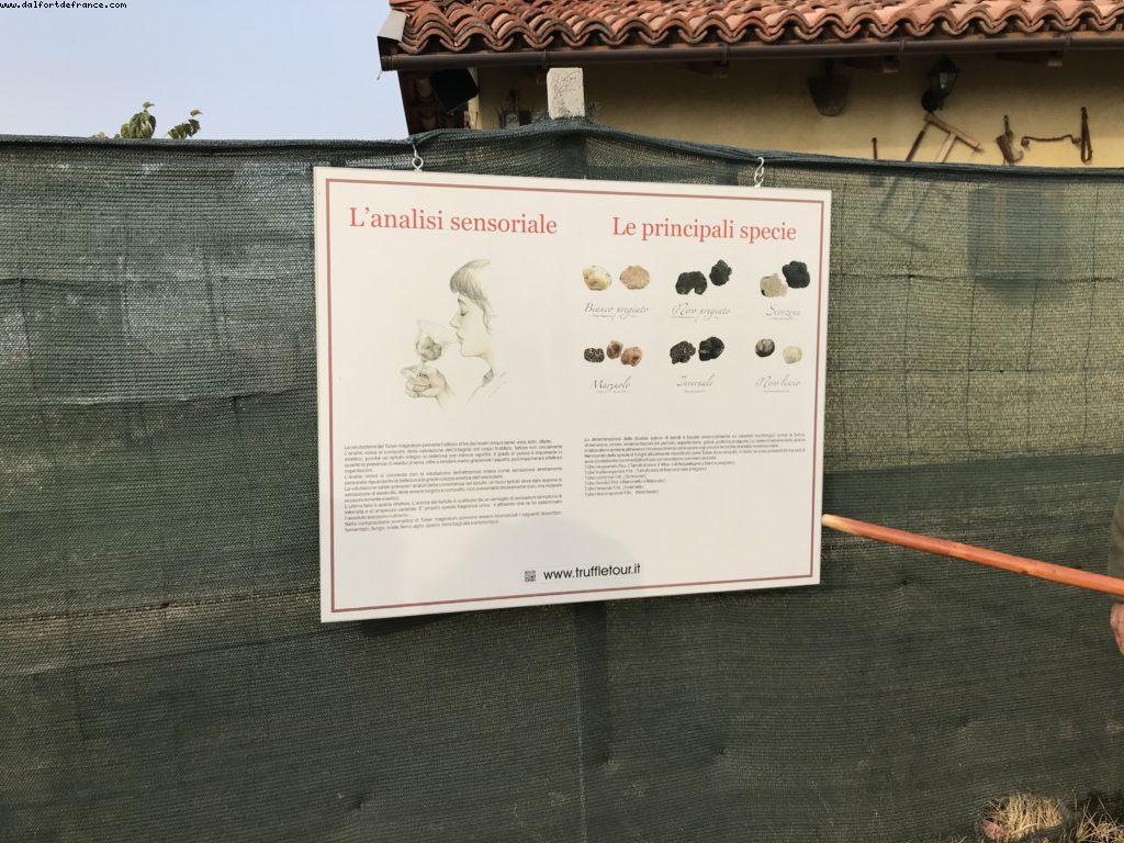 Truffles Hunting with Marco and Roki- La Morra