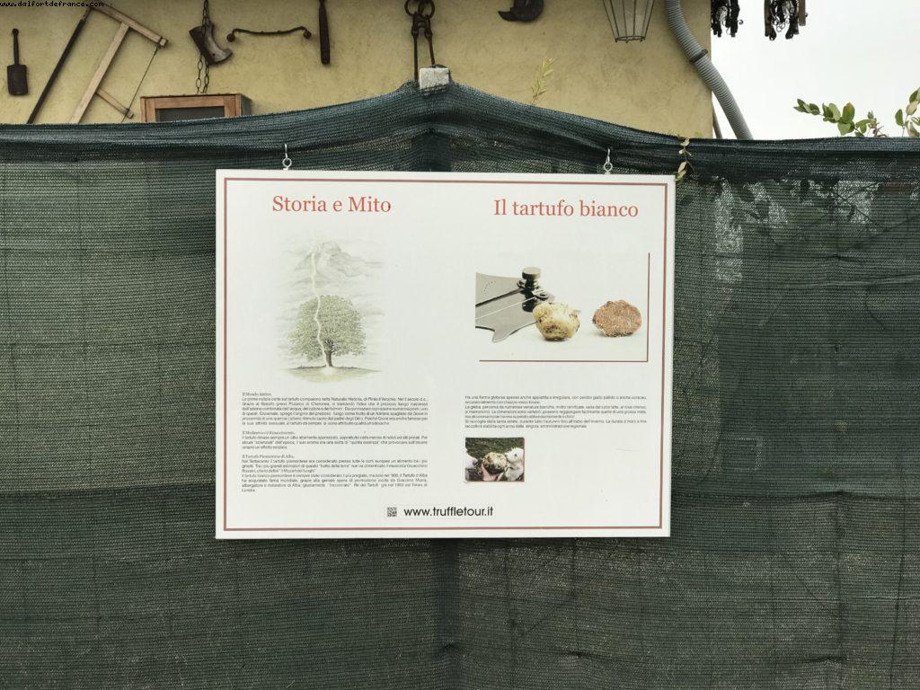 Truffles Hunting with Marco and Roki- La Morra