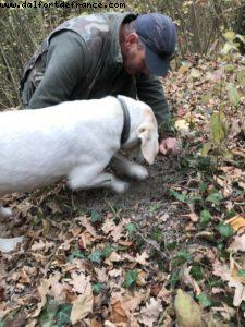 Truffles Hunting with Marco and Roki- La Morra