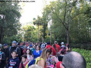 Animal Kingdom - Walt Disney World