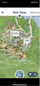 Animal Kingdom - Walt Disney World