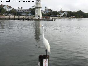 Boardwalk - Walt Disney World