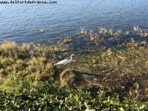 Boardwalk - Walt Disney World