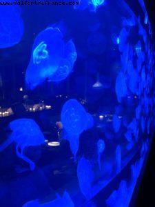 Atlantis Fête 'pré-croisière' - Hôtel W - Fort Lauderdale