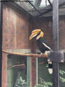 Hong Kong Park - Hong Kong