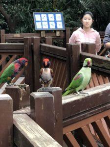 Hong Kong Park - Hong Kong