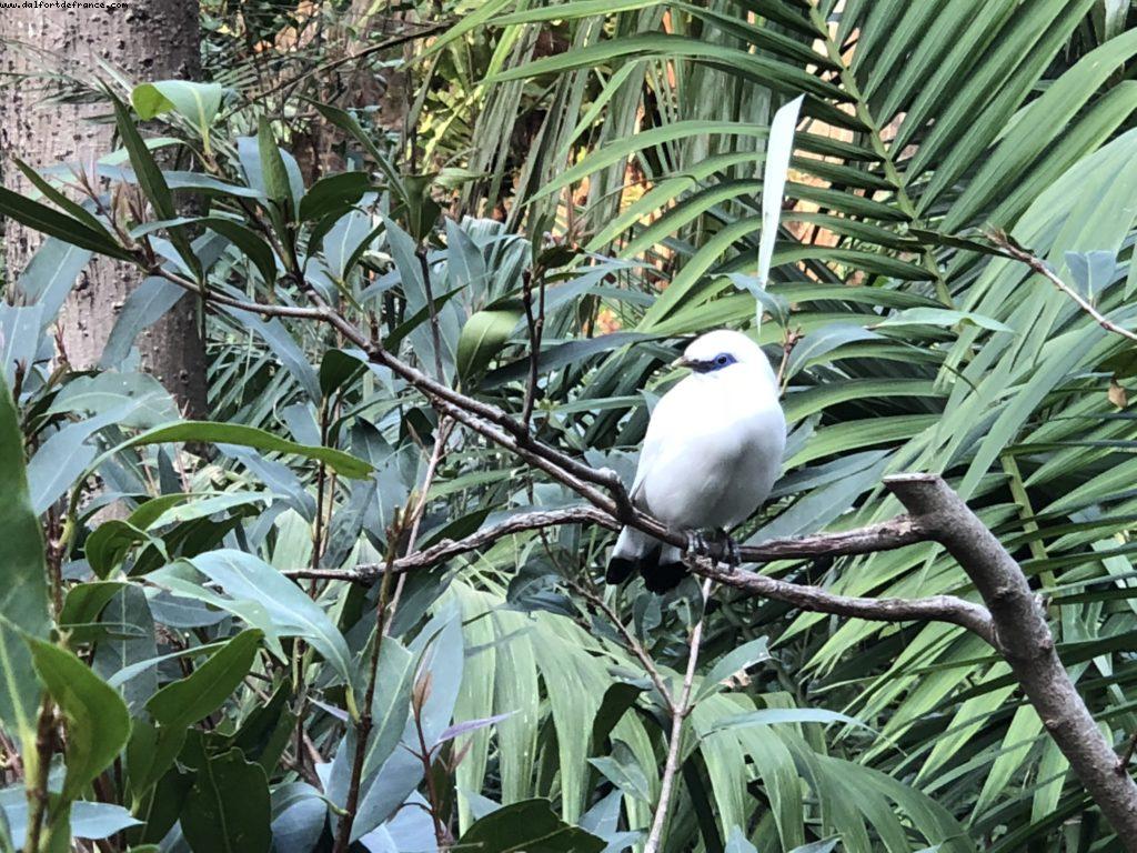 Hong Kong Park - Hong Kong