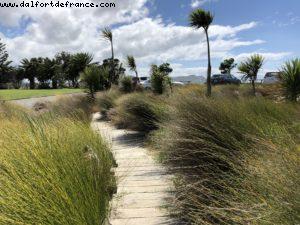 Tolaga Bay Wharf - Driving around Gismore - Our 65th Atlantis Cruise (Noordam)