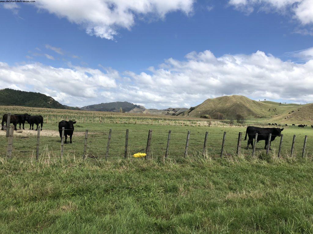 Driving around Gismore - Our 65th Atlantis Cruise (Noordam)