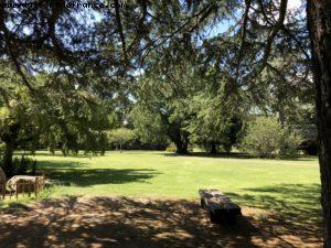 Botanical Garden - Driving around Gismore - Our 65th Atlantis Cruise (Noordam)