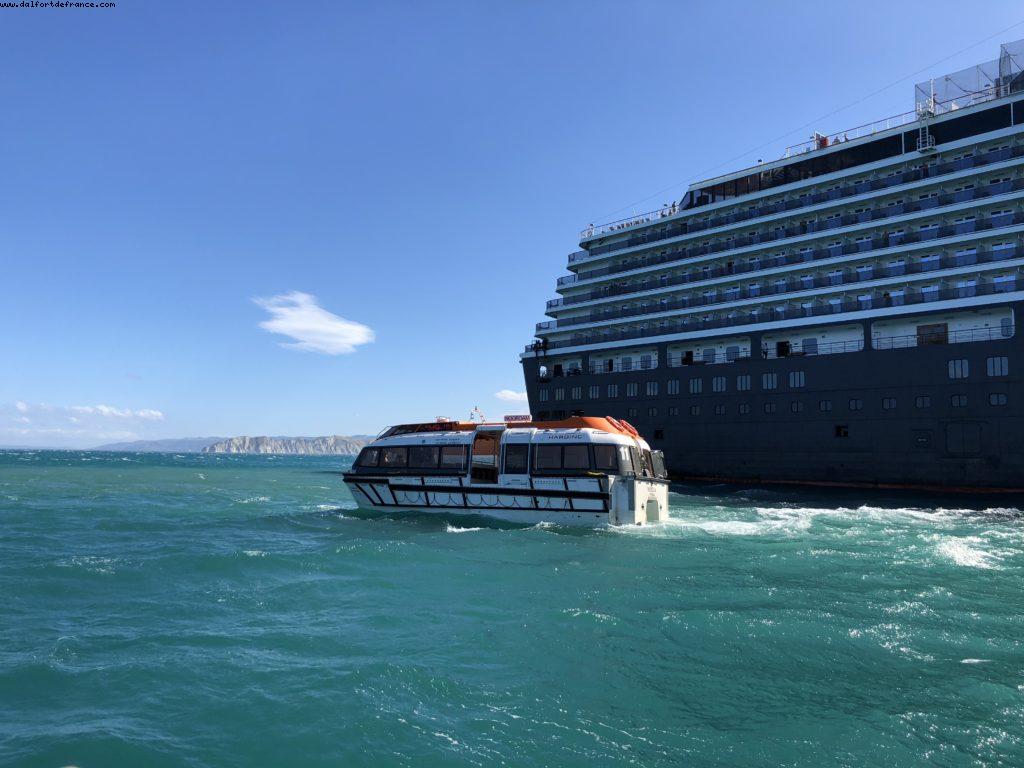 Gismore - Our 65th Atlantis Cruise (Noordam)