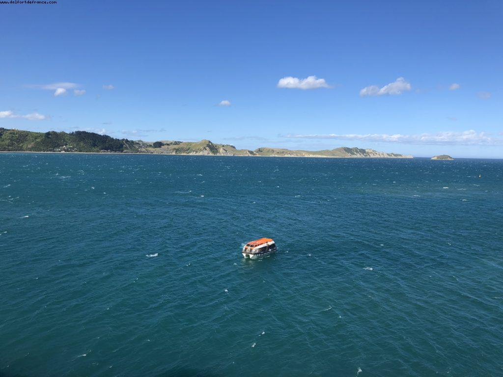 Gismore - Our 65th Atlantis Cruise (Noordam)