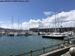 Wellington - Our 65th Atlantis Cruise (Noordam)