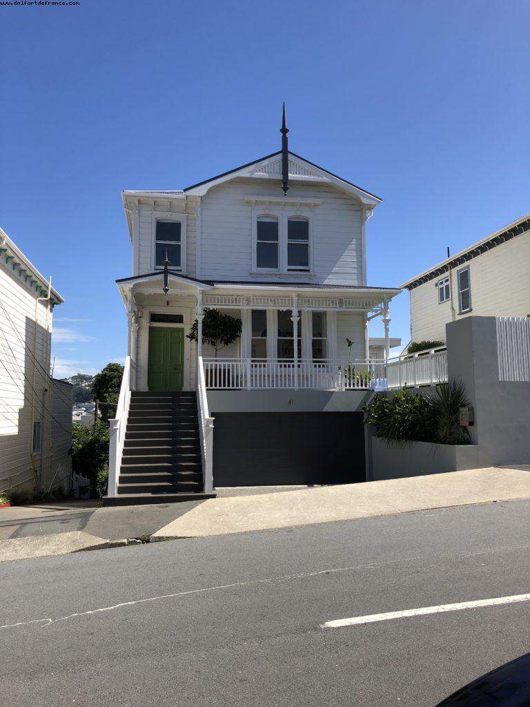 Hiking in Mount Victoria Park - Wellington - Our 65th Atlantis Cruise (Noordam)