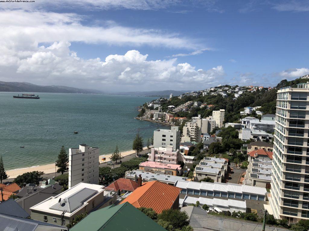 Hiking in Mount Victoria Park - Wellington - Our 65th Atlantis Cruise (Noordam)