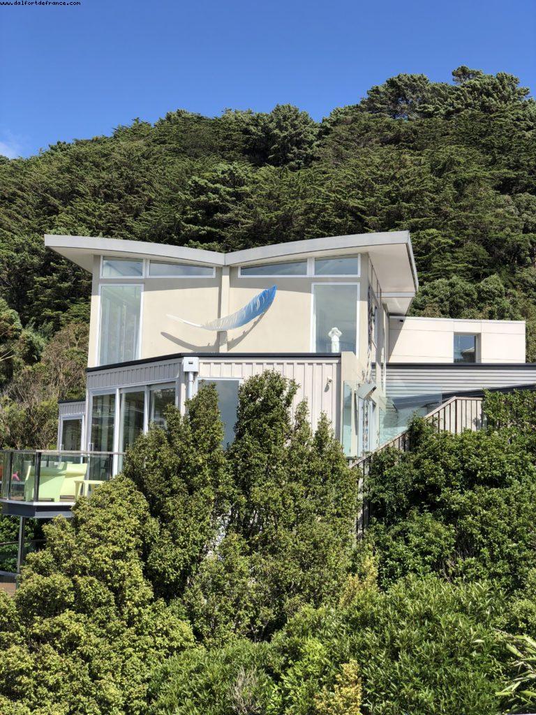 Hiking in Mount Victoria Park - Wellington - Our 65th Atlantis Cruise (Noordam)