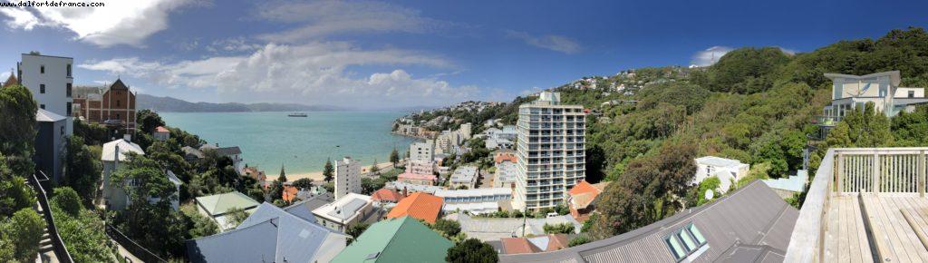 Hiking in Mount Victoria Park - Wellington - Our 65th Atlantis Cruise (Noordam)