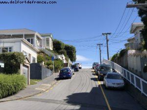 Hiking in Mount Victoria Park - Wellington - Our 65th Atlantis Cruise (Noordam)