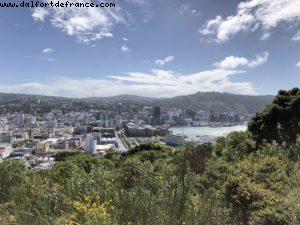 Hiking in Mount Victoria Park - Wellington - Our 65th Atlantis Cruise (Noordam)