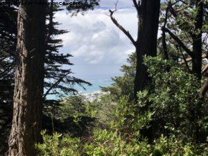 Hiking in Mount Victoria Park - Wellington - Our 65th Atlantis Cruise (Noordam)