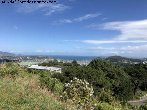 Hiking in Mount Victoria Park - Wellington - Our 65th Atlantis Cruise (Noordam)