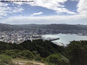 Hiking in Mount Victoria Park - Wellington - Our 65th Atlantis Cruise (Noordam)