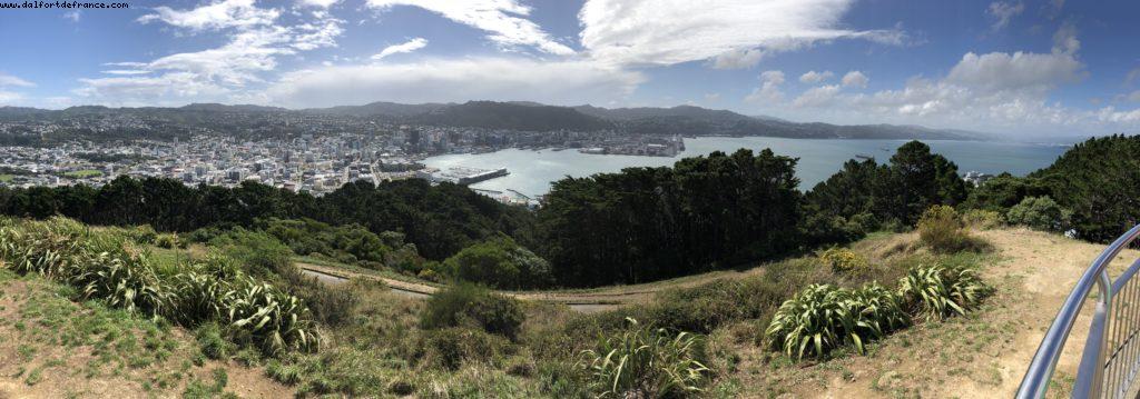 Hiking in Mount Victoria Park - Wellington - Our 65th Atlantis Cruise (Noordam)
