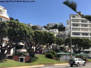 Wellington - Our 65th Atlantis Cruise (Noordam)