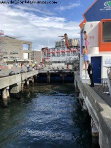 Wellington - Our 65th Atlantis Cruise (Noordam)