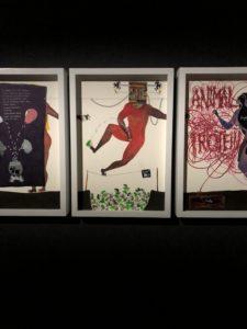 Mona Museum - Hobart - Our 65th Atlantis Cruise (Noordam)