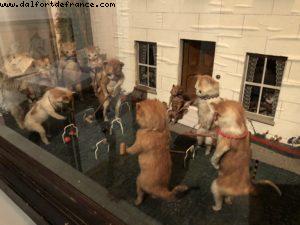 Mona Museum - Hobart - Our 65th Atlantis Cruise (Noordam)