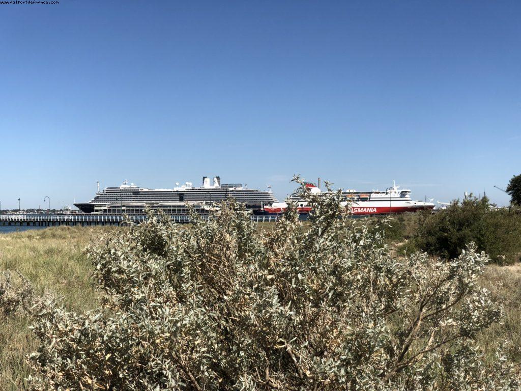Walking from the Cruiseship Terminal to St Kilda - Melbourne - Our 65th Atlantis Cruise (Noordam)