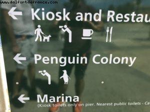 St Kilda - Melbourne - Our 65th Atlantis Cruise (Noordam)