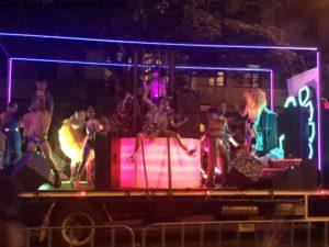 40th Mardi Gras Parade - Sydney