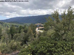 Boulder Creek - California