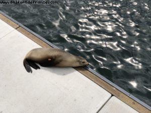 Monterey - California