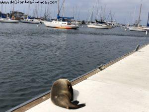 Monterey - California